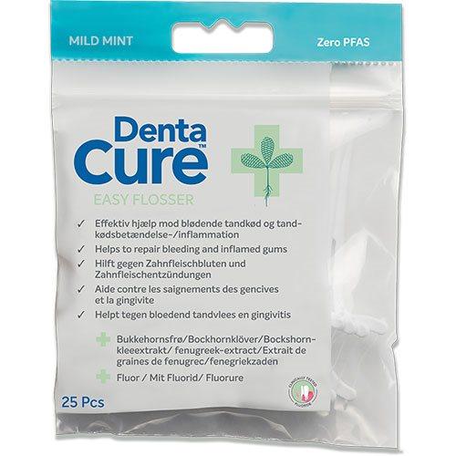 Dentacure Easy Flosser   1 Pk