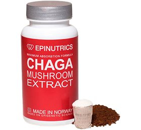 Epinutrics Epi Chaga 60 Kap