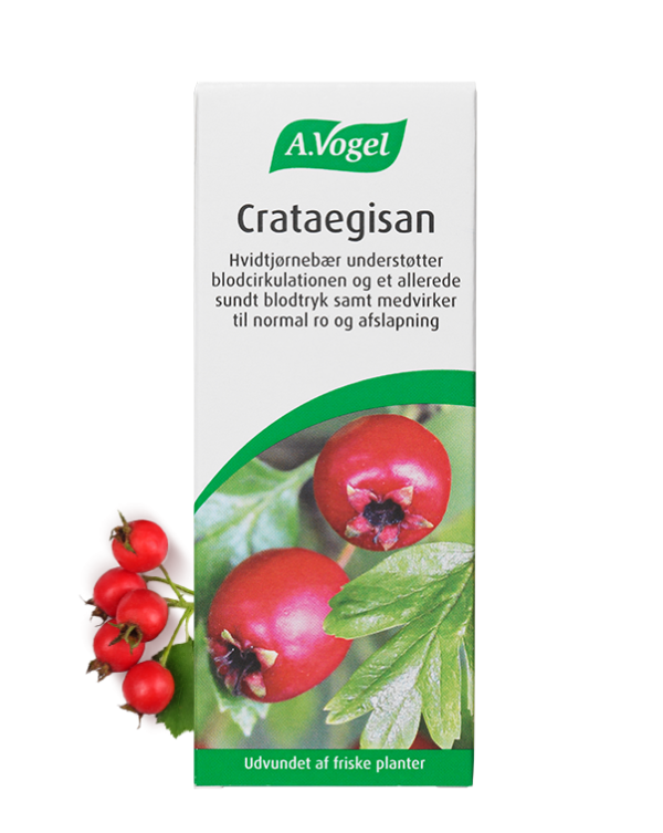 A Vogel Crataegisan  Bull  100ml